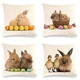 Tifnuer 4er Set Dekorativ Kissenbezüge, Osterhase Muster Einseitig Soft Quadrat Kissenbezug Taille Kissenhülle Sofa Auto Zuhause Zierkissenbezüge mit Verstecktem Reißverschluss 45x45cm R4272