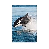 Leinwandbilder Wohnzimmer Killerwal Ozean Wunderschön Sprung Leinwand Poster Schlafzimmer Dekor Sport Landschaft Büro Raum Dekor Geschenk Leinwand Poster Wanddekor Kunstdrucke (30x45cm Kein Rahmen)