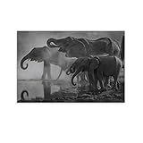 HOWDA Wandbilder Bilder FüR Wohnzimmer Moderne Modefotografie Gemälde Skunk Sentinel Wanddekoration Tierposter Schwarz-Weiß-Poster leinwand bilder Poster (40x60cm Kein Rahmen)