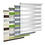 TEKONA Doppelrollo Klemmfix ohne Bohren Duo-Rollo Rollo Blickdicht lichtdurchlässig Fensterrollos Seitenzugrollo Sonnenschutz Fenster und Tür - Weiß, 55 x 150 cm (B x L) - Stoffbreite 51cm