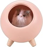 FLYIFE Wandlampe Nachtlicht Kleiner Hamster Haustier Nachtlicht Drei Gang Einstellung USB Laden Niedliche Atmosphäre Lampe Heimdekoration Nachttischlampe (Farbe: Grauer Wolf)