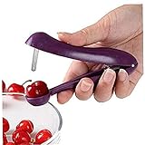 Haushalt Edelstahl Kirschentkerner Fruchtkern Samen Remover Kirschen Kernobstküchenzubehör