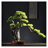 Künstlicher Bonsai-Baum, künstlicher Bonsai-Baum und Steingarten, Kunstpflanzen, große Kunstpflanzen for den Innenbereich, Dekoration mit Keramiktöpfen for Zuhause, Tisch, Büro, Schreibtisch, Dekorati