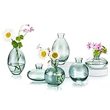 Kleine Vasen Für Tischdeko Aus Hewory, 6 Stück Vase Glas Mini Vasen Set Modern Glasvase Grün Kleine Blumenvasen Für Hochzeitsdeko Tisch Wohnzimmer Deko