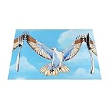 Tischsets 1-4-6 Stück Vinyl Gewebte Platzsets Schöne Möwen im Flug Abwaschbar und langlebig rutschfest Tischsets