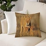 Dekorativen Zierkissenbezüge 50x50 cm,Savannah Mom Lioness and Young Lion in South Nature Big Cats at Wilderness,Kissenbezüge Quadratische Kissenhülle für den Außenbereich Terrasse Garten Bank Dekor