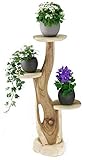 My-goodbuy24 Blumenständer Blumentreppe Blumenpodest Blumenhocker Pflanzen Blumen Treppe Holz Massivholz Suar mit 3 Ablagen