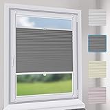 Sekey Premium Plissee - Hochwertiges Faltrollo ohne Bohren - 60 x 100cm - Jalousie für Fenster & Tür - Sonnenschutz - lichtundurchlässig - Grau