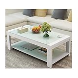 Moderner einfache quadratisches Metall Stahl Couchtisch gehärtetes Glas mit 2 Layer Ablageboden for Wohnzimmer-Sofa Side Beistelltische (Color : All White, Größe : 100x42cm)