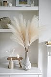 Beige Pampasgras Deko, 3pcs Pampasgras Groß 100 cm, Deko Pampasgras Fur Deko Boho, Pampasgras Deko Gross Fur Bodenvase, Deko Schlafzimmer Badenzimmer Wohnzimmer, Pampas Grass Kunstblumen Deko