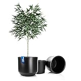 BigDean 2X Blumentopf Style ø 46 cm anthrazit mit herausnehmbaren Innentopf - wetterfester Blumenkübel aus bruchsicherem Kunststoff - Pflanzkübel groß Außen & Innen geeignet