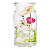 TREND FOR HOME Bodenvase Groß 29.5 cm Glasvase Zylinder Weiß und Gold Glasvase Groß Bodenvase für Pampasgras Glasvase Rund Modern Glaszylinder | Ø 16 cm | 5150 ml | Sunflower