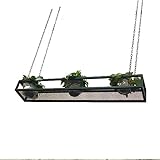 Hängende Würfelförmige Schwebende Regale Blumenständer Persönlichkeit Bar Pflanzenregale Eisenkunst Wandaufbewahrung Präsentationsregal Wandregal, Aufgehängt Für Den Innenbereich ( Size : 80x25x15cm )