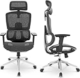 Dripex Ergonomischer Bürostuhl, Mesh Computer Drehstuhl, Schreibtischstuhl mit Verstellbarer Kopfstütze, mit 2D Feste Armlehne, Lendenwirbelstütze, Swivel Rolling Task Chair für Home Office