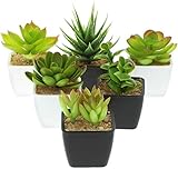 com-four® 6X Künstliche Pflanzen [Auswahl variiert], täuschend echte Dekopflanzen mit Topf in schwarz und weiß, Kunstpflanze für Haus, Garten, Balkon und Büro (06 Stück - Größe S - schwarz/weiß)
