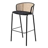 WAEYZ Moderner Rattanstuhl, Home High Bar Sitzhocker, Rattan Rückenlehne Lounge Stuhl, für Indoor Outdoor Leichte Entspannung Stuhl