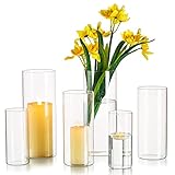 Hewory Vase Glas Blumenvase Modern 6 Stück Vasen Deko Wohnzimmer Tulpenvase Glasvase Gross Vase Groß Kerzenhalter Glaszylinder Set für Hochzeit Tischdeko, 10/15/20cm Hoch