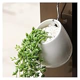 HASMI Blumentopf hängend Keramische Blumentöpfe Sukkulente Blume Pflanzen Topf Wandmontierte Kleine Hängende Pflanzgefäße Dekoration for Innenschlafzimmer im Freien Zaun Blumentopf Balkon