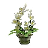 AVFORA Kleiner Bonsai-Baum Feng Shui Auspicious Jade Bonsai-Magnolienblume Bonsai Ornament Geeignet for Wohnzimmer Veranda Balkon Dekoration Gefälschte Bonsai Gefälschte Pflanzen