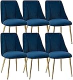 HAVMAK Moderne Küche Esszimmer Stühle Set Küche Samt Weich Gepolsterter Sitz 6er Set Küche Esszimmerstühle Metallbeine Rückenlehnen Stühle Theke Wohnzimmer Lounge Make-up-Stuhl (Farbe: Blau)