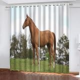 Vorhang Blickdicht 3D Hawaii-Meerblick Muster Ösenschal Fenster Gardinen Mit Ösen Verdunkelungsvorhang Wohnzimmer Kinderzimmer Thermovorhang Schallschutz Vorhän 2Er Set 214X264Cm