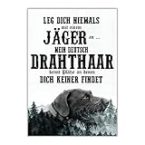 Schild DEUTSCH DRAHTHAAR Dog Hund Spruch Türschild Hundeschild Jagd Jagdhund Wall Art