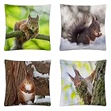 Cekog Süßes Eichhörnchen wasserdichte Kissenbezugen,4 Stück 55x55cm Dekorative Outdoor Kissen Wasserfest Atmungsaktiv Doppelseitige Leinen Kissenbezüge für Garten Bauernhaus Wohnzimmer Schlafzimmer