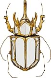 Kare Design Wandschmuck Beetle Mirror, 39x25x6cm, Gold