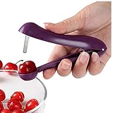 Edelstahl Kirschentkerner Kirschentferner Fruchtkernentferner Kirschenentkerner Obst Küchenzubehör