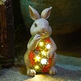 Yeomoo Solar Kaninchen Figuren Gartendeko für Draußen,Hase mit Sukkulenten Solarlampe Figur Deko Bunny Figur Dekoration Zimmer Garten Lustig Geschenke für Frauen Kinder Balkon Terrasse Feengarten 20CM