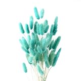 IOPJLK Pampasgras Deko, Pampasgras Getrocknet, Pampasgras Blau 50 Stück, Trockenblumen Deko, Deko Wohnzimmer, Pampasgras für Hochzeit-Boho-Blumen, Tischdekoration zu Hause, Rustikale Bauernhof-Party