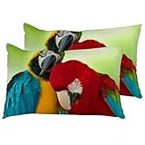 Kissenbezüge 2 Stück Bunte Aras Papageien Kissenbezug Moderne Waschbar Kopfkissenbezug Mit Reißverschluss, Für Wohnzimmer, Büro, 40X60Cm