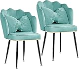 HAVMAK Moderne Küche Esszimmerstühle Set Esszimmerstühle 2er Set Samt Küchenstuhl mit Kissen Sofa Sessel Metallbeine für Zuhause Restaurant Empfang Lounge (Farbe: Blau)