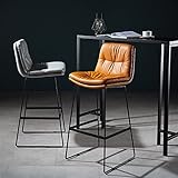 NURII Leder-Barstuhl mit Rückenlehne, 2er-Set, Leichter Luxus-Eisen-Hocker, moderner Café-Barstuhl (Color : White, Size : 77cm/30in)