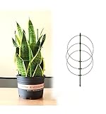 DHGVCED Garten Rankgitter Für Topfpflanzen, Metallspalier Für Kletterpflanzen Im Außen- Und Innenbereich, Pflanzenstecker Für Blumen, Gemüse, Tomaten, Weinreben (Size : 60cm/23.6inch)