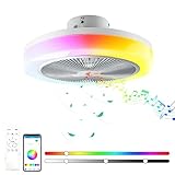 LED Deckenleuchte mit Ventilator Timer Leiser Moderner RGB Deckenventilator mit Beleuchtung und Fernbedienung &APP, Dimmbarer Bluetooth Musik LED Deckenlampenventilator für Schlafzimmer Wohnzimmer