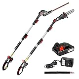 WALTER Li-Ion Akku-Hochentaster/Heckenschere 20 V, 2 in1 Kombigerät für den perfekten Baum- und Strauchschnitt, inklusive verstellbarer Teleskopstange und bequemen Schultergurt
