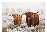 WallArena Fototapete Büffel Bison Tiere Winterlandschaft Modern Wohnzimmer Schlafzimmer Wandtapete Vlies Tapete UV-Beständig Montagefertig (520x318 cm - 5 Bahnen)