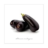 Pro-Art gla399b Wandbild Glas-Art 'Aubergine', 50 x 50 cm