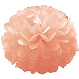 ZHQ Papier-Pompons, 10,2 cm, 15,2 cm, 20,3 cm, 25,4 cm, 30,5 cm, 35,6 cm, 40,6 cm, zum Aufhängen, Papierlaterne, Wabenballen, Hochzeit, Geburtstag, Dekoration, Blassrosa / Grün, 10,2 cm 10 cm