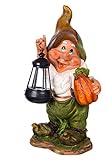 Birendy Figur Zwerg Gartenzwerg Gartenwichtel mit LED Solarlampe NF11021-1D Groß Deko Zwerg, Gartendekoration Gartenfigur 38cm