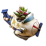 Clicitina Flower PotsColophonyHome Decoration DecorCactus Pflanzentöpfe Klein (Multicolor, One Size)