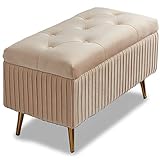 BAKAJI Sitztruhe für Bank, Aufbewahrungsbox, Fußstütze, Schlafzimmer, rechteckig, weich, geräumig, Sofa-Aufbewahrung, faltbar, Polsterung aus Holz, geräumig, Beige