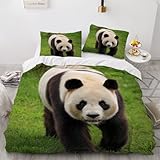 CHAADS Bettwäsche Kinder 135x200 Microfaser Wunderschön Schwarzer Und Weißer Panda 3D Bettwäsche Set 3Teilig Süßer Tier Mädchen Tiere Bettbezug und Kissenbezug 80×80cm