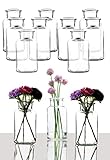 BigDean 12er Set Blumenvase - Tischvase Glasvase für Blumen und Trockenblumen - Kerzenhalter Dekovase - Made in Germany