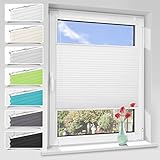 Zarnan Plissee ohne Bohren Klemmfix,Weiß 60x200cm(BxH),Plisseerollos Faltrollo mit Klemmträger easyfix,Jalousie Sichtschutz und Sonnenschutz Rollo für Fenster & Tür
