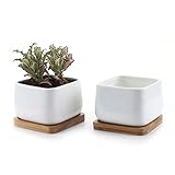 T4U 10CM Keramik Sukkulenten Töpfe Kaktus Pflanze Töpfe klein Blumentöpfe mit untersetzer Abgerundete Quadrat Weiß 2er Set