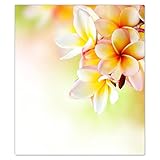 DecoCat Herdabdeckplatte Ceranfeld 45x52 cm Einteilig Plumeria Blumen Orange (01305) Schneideplatte Glas Kochfeldabdeckung Herdabdeckung Induktionsschutz