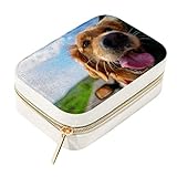 DJROW Aufbewahrungsbox für Halsketten, Schmuck, zur Organisation von Schmuck, Schaukasten mit Golden Retriever, der aus dem Autofenster schaut, stapelbar, Tablett für Armbänder, Ohrringe und