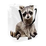 Waschbär Sitzen auf weißem Hintergrund, Druck, faltbarer Wäschekorb, 60 l, wasserdicht, Wäschekorb, Kleidung, Spielzeug, Aufbewahrung für Schlafsaal, Badezimmer, Schlafzimmer